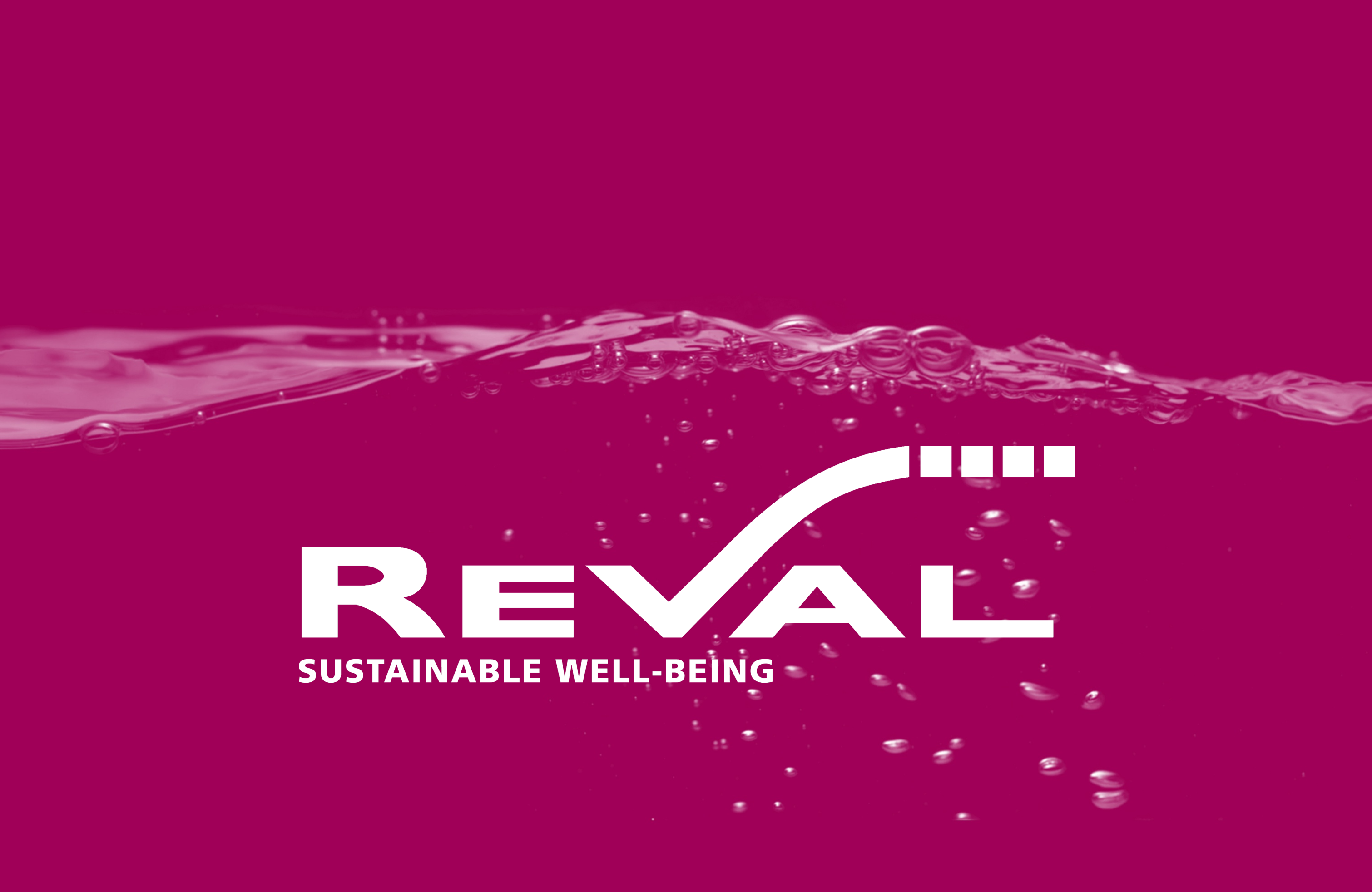 Reval Continuing Care Ltd